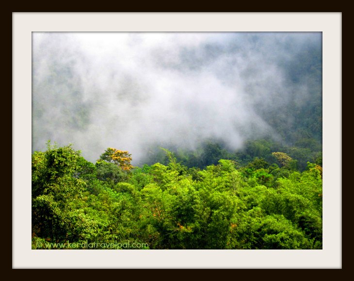 nilambur tourist places list