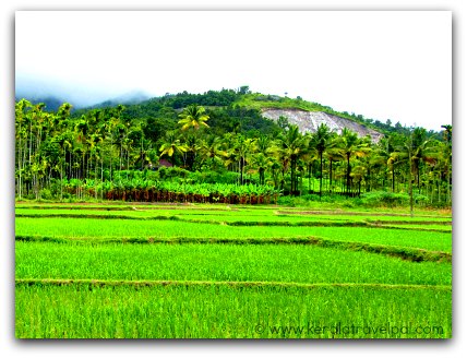 tourist destinations in north kerala